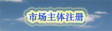主体注册