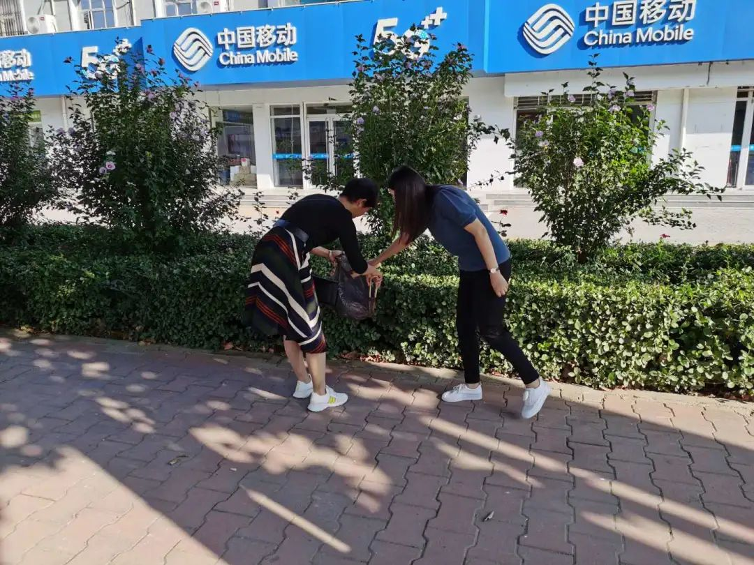 图片12